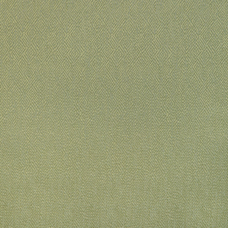 BRUNSCHWIG & FILS 8023152.3.0 PIPET TEXTURE LEAF Fabric - Eade's Wallpaper