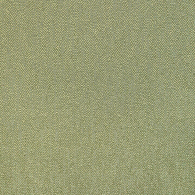 BRUNSCHWIG & FILS 8023152.3.0 PIPET TEXTURE LEAF Fabric - Eade's Wallpaper