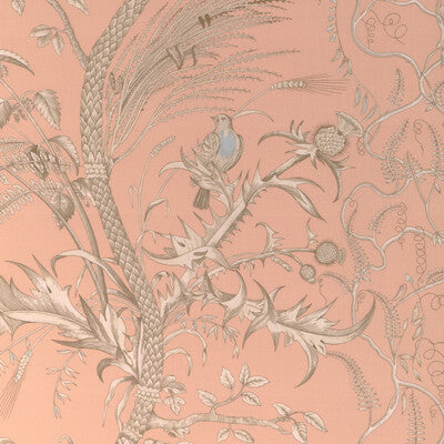 BRUNSCHWIG & FILS 8024101.1216.0 BIRD AND THISTLE II PEACH Fabric - Eade's Wallpaper