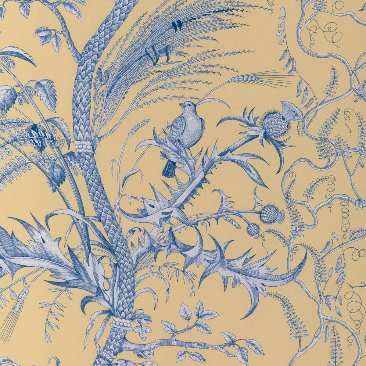 BRUNSCHWIG & FILS 8024101.415.0 BIRD AND THISTLE II SUN Fabric - Eade's Wallpaper