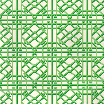 BRUNSCHWIG & FILS 8024122.33.0 PAVILION TRELLIS LEAF Fabric - Eade's Wallpaper