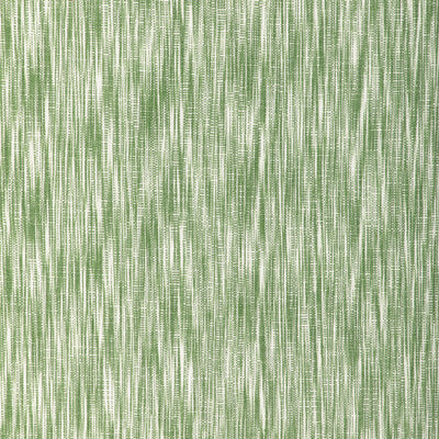 BRUNSCHWIG & FILS 8024136.3.0 BRETENTOT STRIE GREEN Fabric - Eade's Wallpaper