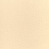 BRUNSCHWIG & FILS 8024141.101.0 ATHENA WOOL SATIN WHITE Fabric - Eade's Wallpaper