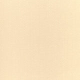 BRUNSCHWIG & FILS 8024141.101.0 ATHENA WOOL SATIN WHITE Fabric - Eade's Wallpaper