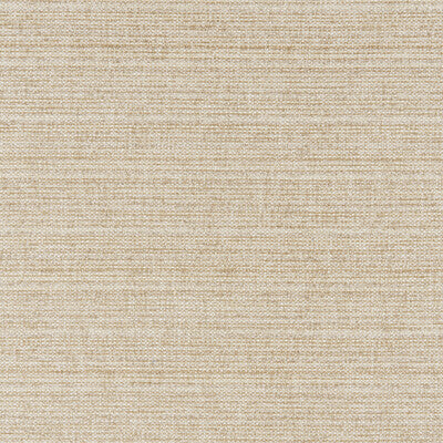 BRUNSCHWIG & FILS GARNIER TEXTURE 8025109.16.0 in BEIGE Fabr