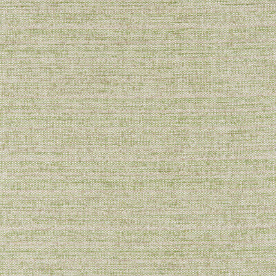 BRUNSCHWIG & FILS GARNIER TEXTURE 8025109.3.0 in LEAF Fabric