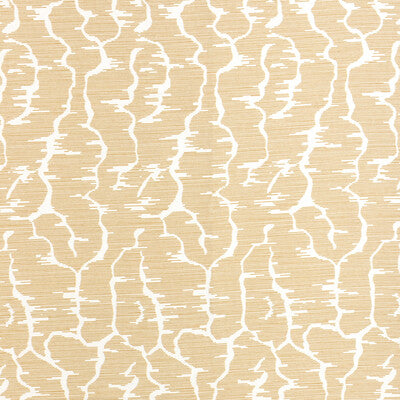 BRUNSCHWIG & FILS LEVES 8025114.6.0 in COGNAC Wallpaper - MA