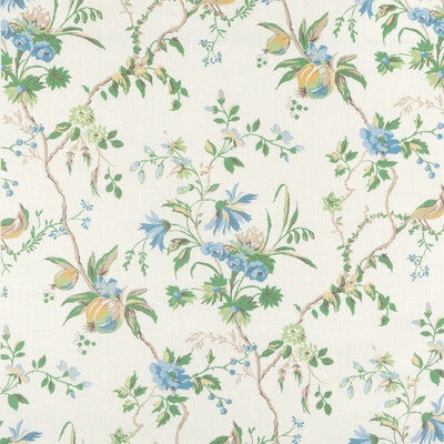BRUNSCHWIG & FILS LOCKLIN PRINT 8025131.153.0 in LAGOON Fabr