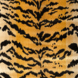 BRUNSCHWIG & FILS NEW TIGER VELVET 8025137.648.0 in NATURAL 