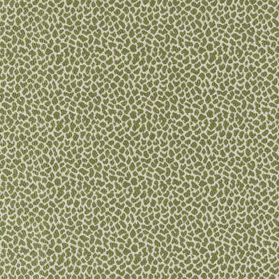 BRUNSCHWIG & FILS LAFAYETTE WEAVE 8026105.3.0 in LEAF Fabric