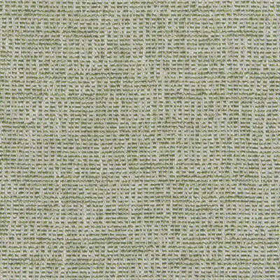 BRUNSCHWIG & FILS BRIOUDE TEXTURE 8026106.3.0 in GREEN Fabri