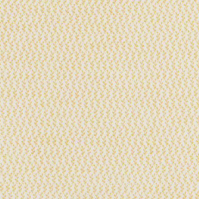 BRUNSCHWIG & FILS ENTREMONT WEAVE 8026108.14.0 in SOLEIL Fab