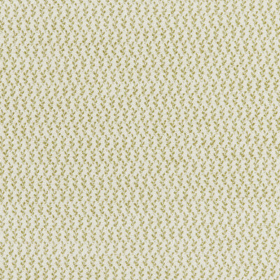 BRUNSCHWIG & FILS ENTREMONT WEAVE 8026108.33.0 in LEAF Fabri