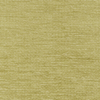 BRUNSCHWIG & FILS MONNERIE TEXTURE 8026111.33.0 in LEAF Fabr