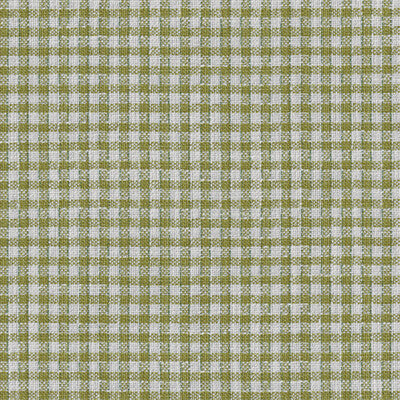 BRUNSCHWIG & FILS VESONNE CHECK 8026121.3.0 in LEAF Fabric -