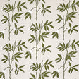 Eade’s OLIVE ON NEUTRAL