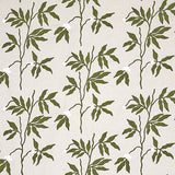 Eade’s OLIVE ON NEUTRAL