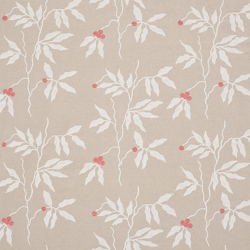 Eade’s IVORY ON NEUTRAL