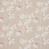 Eade’s IVORY ON NEUTRAL