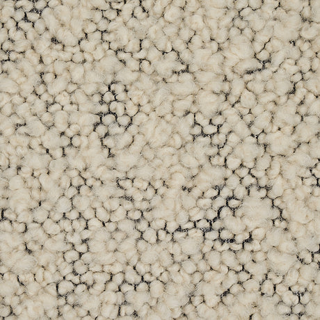 Schumacher Margarete Bouclé Ivory On Charcoal Fabric - Eade's Wallpaper