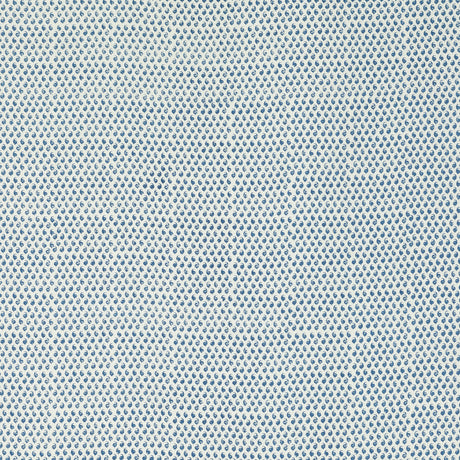Schumacher 805B39 CEYLON in DELFT Fabric - RAOUL TEXTILES