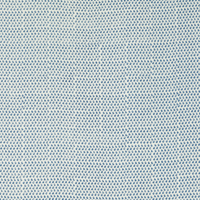 Schumacher 805B39 CEYLON in DELFT Fabric - RAOUL TEXTILES
