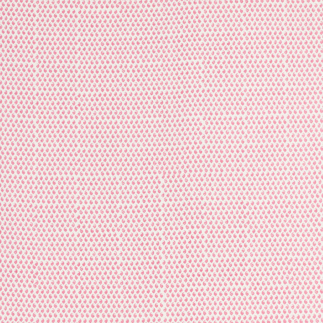 Schumacher 805B65 CEYLON in BORSCHT Fabric - RAOUL TEXTILES