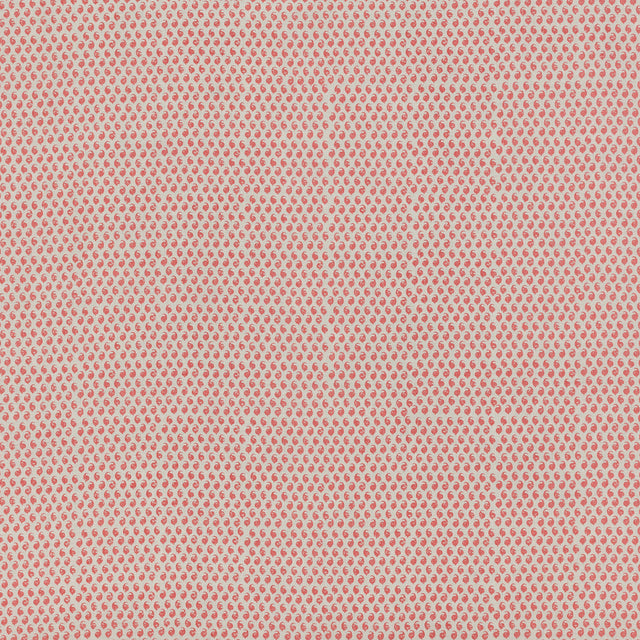 Schumacher 805N43 CEYLON in GRAPEFRUIT Fabric - RAOUL TEXTIL