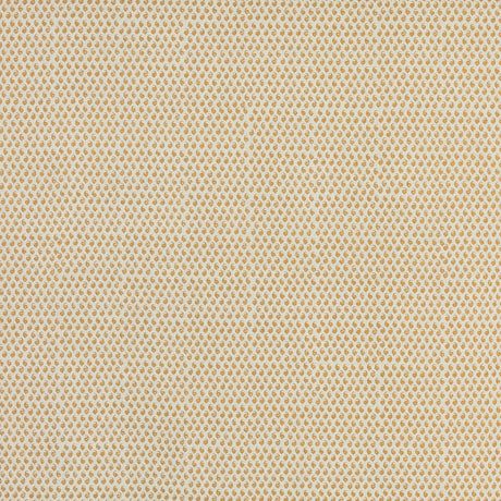 Schumacher 805N66 CEYLON in ANTIGUA Fabric - RAOUL TEXTILES