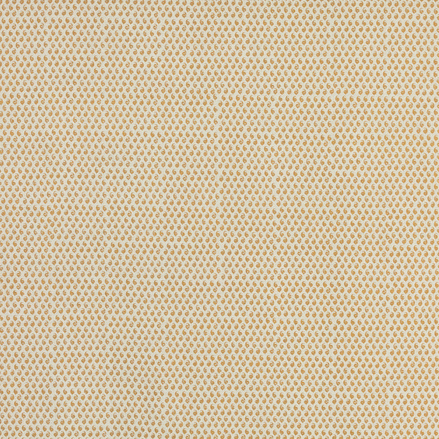 Schumacher 805N66 CEYLON in ANTIGUA Fabric - RAOUL TEXTILES