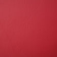 Pindler POOLSIDE APPLE 8073 Fabric - Fabric Collection