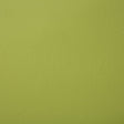 Pindler POOLSIDE SPROUT 8073 Fabric - Fabric Collection