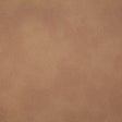Pindler GITTY UP HONEY 8077 Fabric - Fabric Collection