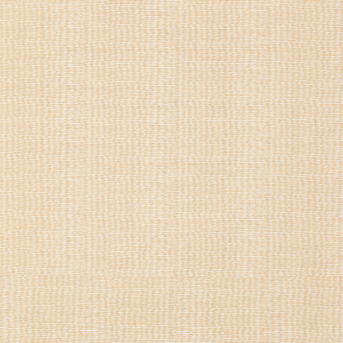 Schumacher 808B48 LENA in HUSK Fabric - RAOUL TEXTILES