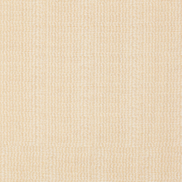 Schumacher 808B48 LENA in HUSK Fabric - RAOUL TEXTILES