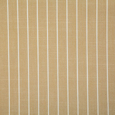 Pindler TALLARD BUTTERCUP 8093 Fabric - Fabric Collection