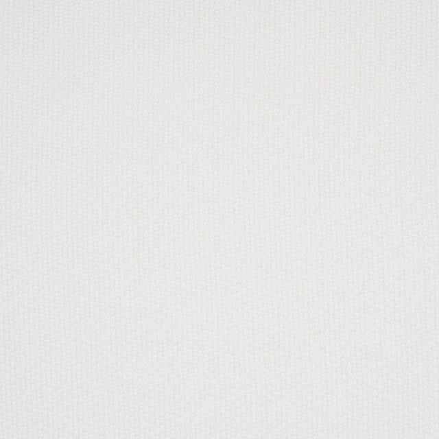 Schumacher Scottie Indoor/Outdoor White Fabric - Eade's Wallpaper