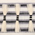 Schumacher 81201 EYELASH FRINGE in BLACK Trim - EMBROIDERED 