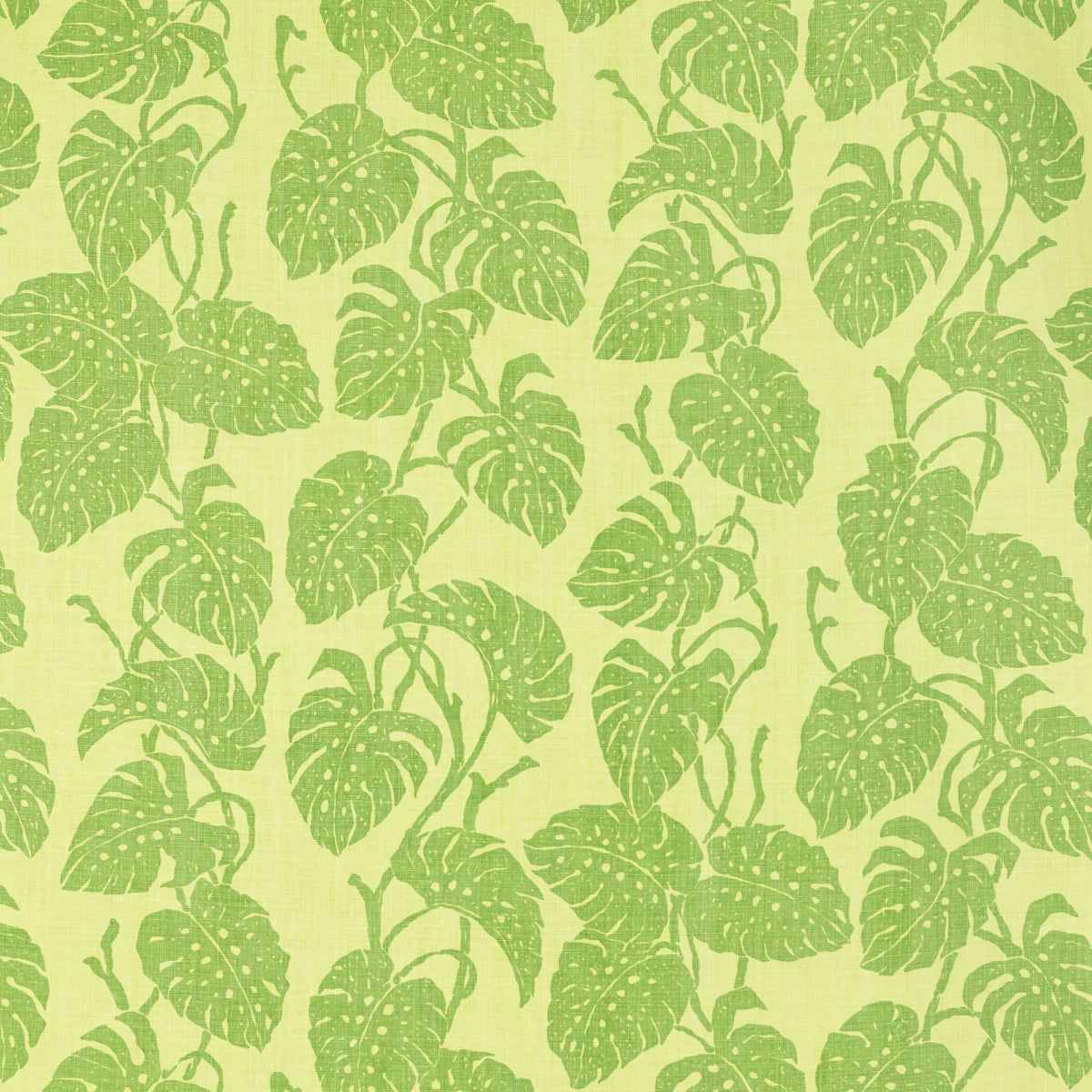 Schumacher 812B52 EDEN in SAPOTE Fabric - RAOUL TEXTILES