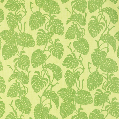 Schumacher 812B52 EDEN in SAPOTE Fabric - RAOUL TEXTILES