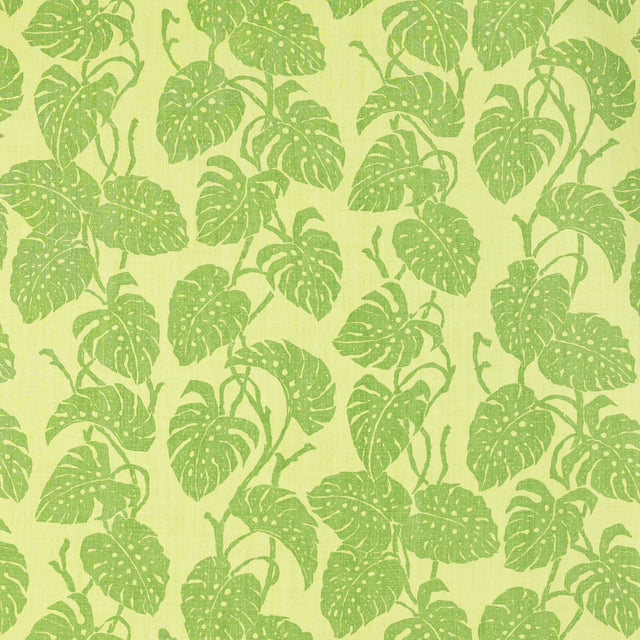Schumacher 812B52 EDEN in SAPOTE Fabric - RAOUL TEXTILES