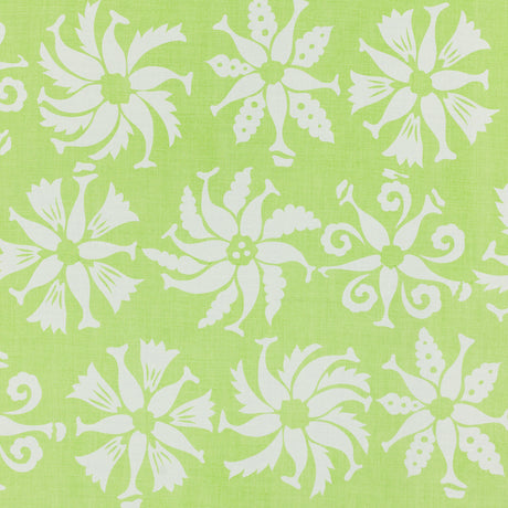 Schumacher 813B52 OMOO in SAPOTE Fabric - RAOUL TEXTILES