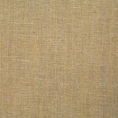 Pindler CHANCE GOLD 8143 Fabric - Fabric Collection