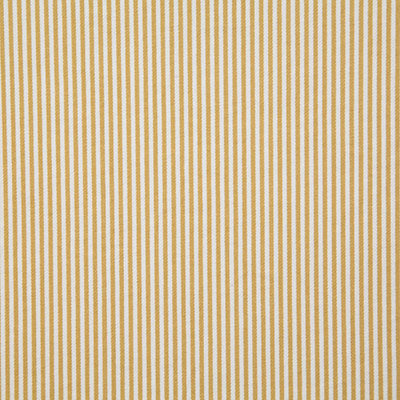 Pindler CHELSEA GOLDEN 8159 Fabric - Fabric Collection