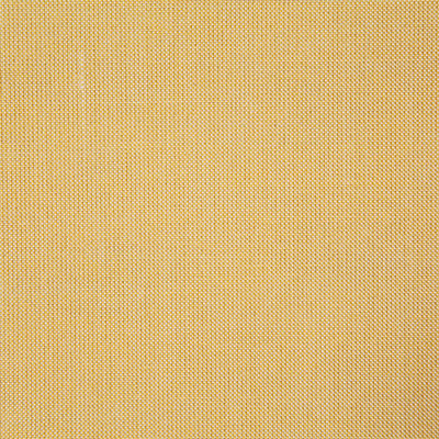 Pindler CLIFFRIDGE BUTTER 8165 Fabric - Fabric Collection
