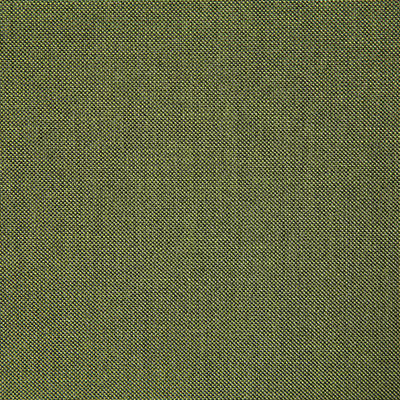 Pindler CLIFFRIDGE CITRUS 8165 Fabric - Fabric Collection