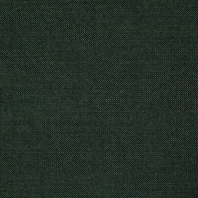 Pindler CLIFFRIDGE FOREST 8165 Fabric - Fabric Collection