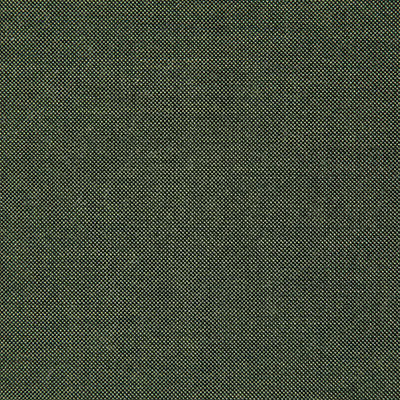 Pindler CLIFFRIDGE LICHEN 8165 Fabric - Fabric Collection