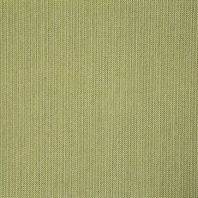 Pindler ROCKWELL CITRUS 8166 Fabric - Fabric Collection
