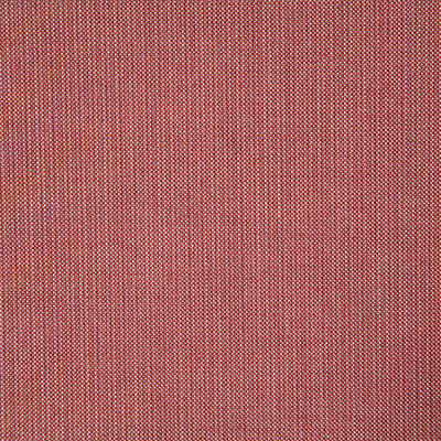 Pindler ROCKWELL PEONY 8166 Fabric - Fabric Collection